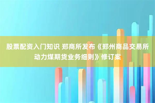 股票配资入门知识 郑商所发布《郑州商品交易所动力煤期货业务细则》修订案