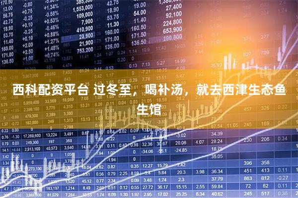 西科配资平台 过冬至，喝补汤，就去西津生态鱼生馆