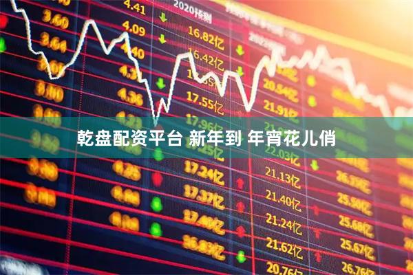 乾盘配资平台 新年到 年宵花儿俏